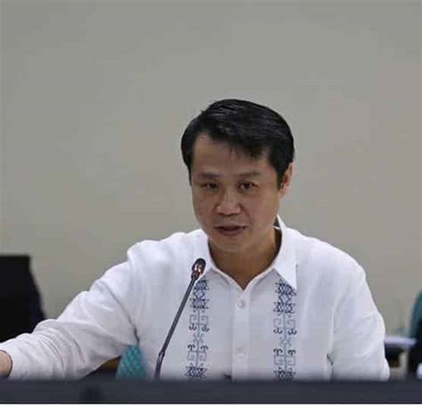Gatchalian seeks to pause, change rules on video and .